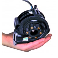 EWP80 - In Hand (A).JPG