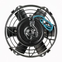 8 inch Fan - Back (20-March-2023).jpg